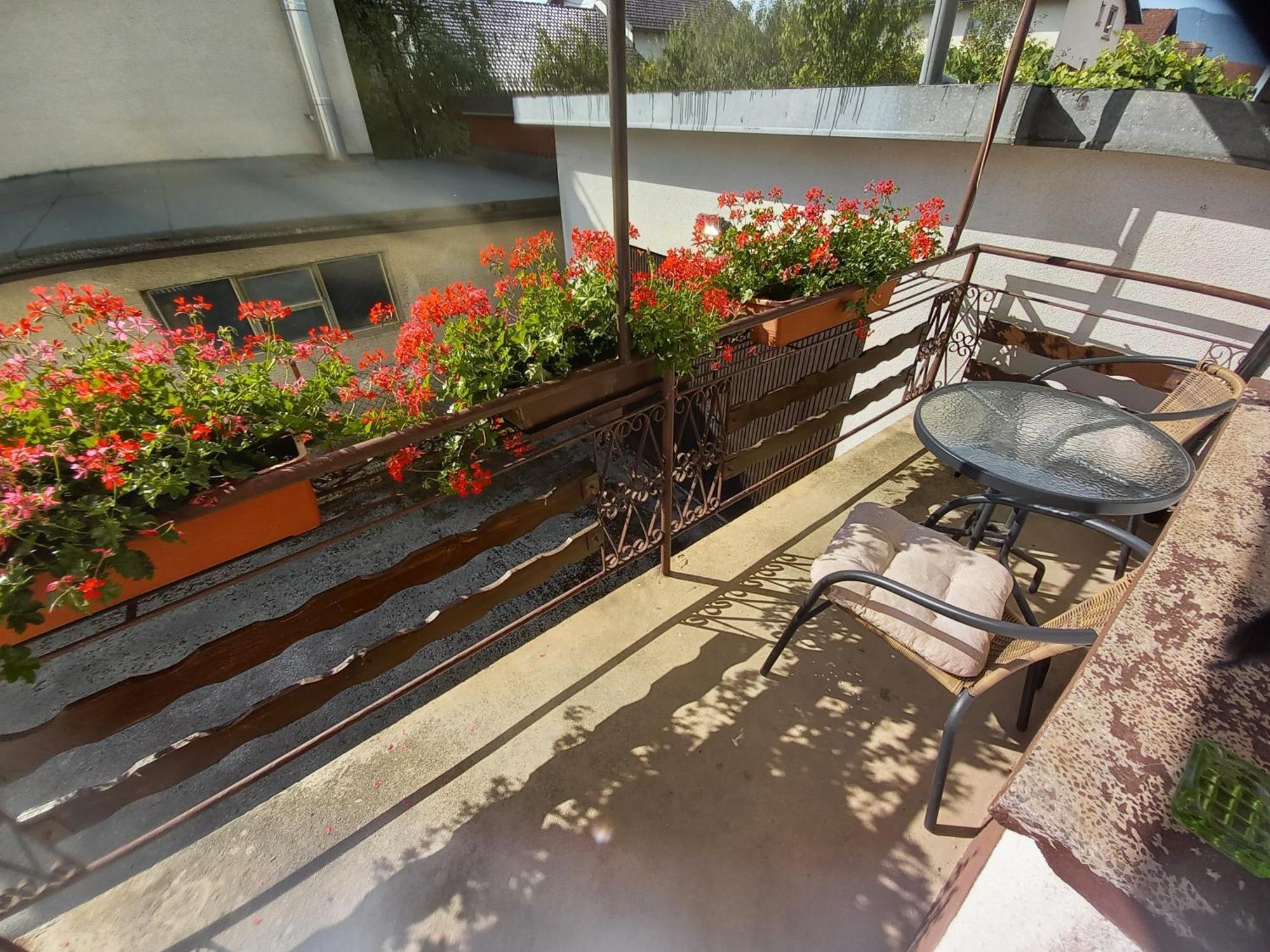 Rooms Apartma 체르크니차 외부 사진